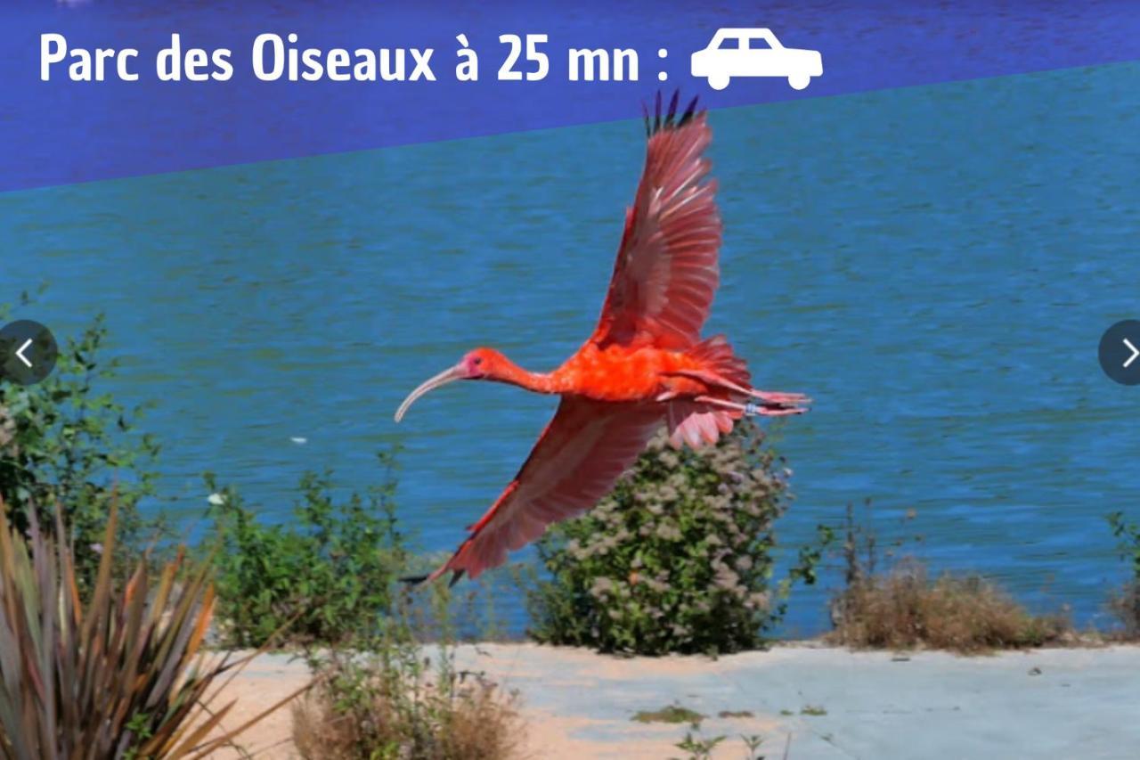 L'Emeraude - 1 A 4P - Wifi Fibre - Parking Gratuit Pont-dʼAin Exterior foto